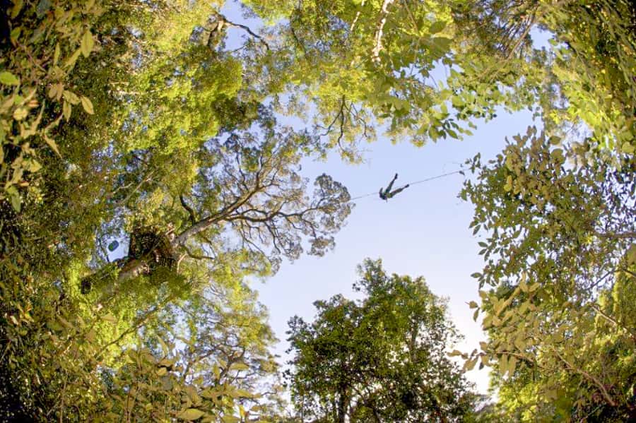 Storms River: Tsitsikamma National Park Zipline Canopy Tour - Price and Value: What $55 Really Buys You