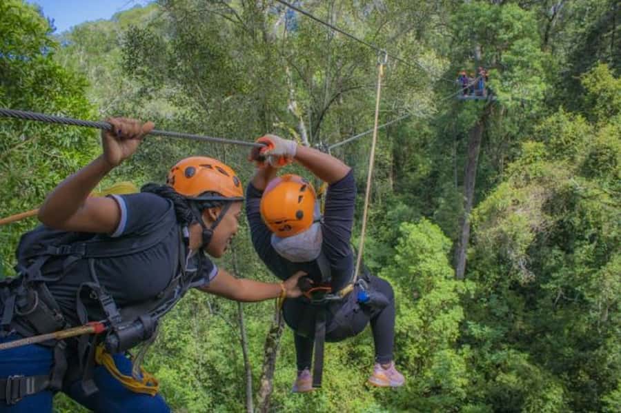 Storms River: Tsitsikamma National Park Zipline Canopy Tour - Quick Logistics That Make the Day Easier