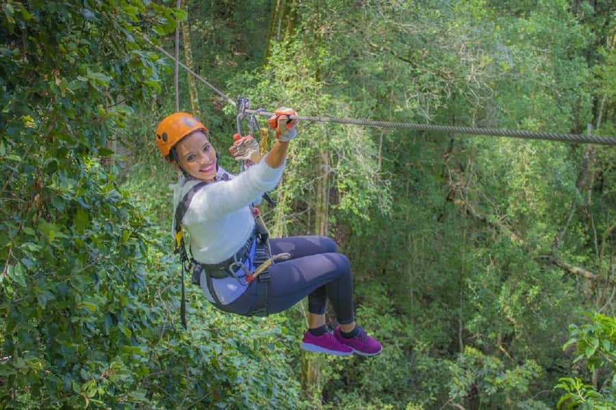 Storms River: Tsitsikamma National Park Zipline Canopy Tour - Safety and Trust: How the Guides Keep the First Drop from Winning