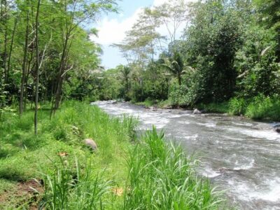 Telaga Waja River Rafting Bali & Zipline (Less Stairs) - Why This “Less Stairs” Design Matters in Real Life