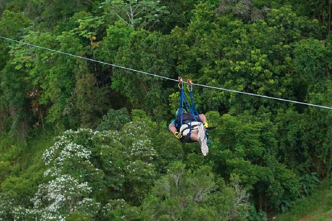 The Beast Zipline at Toroverde Adventure Park in Puerto Rico - Getting to ToroVerde: the Mountain Drive and the Transport Reality