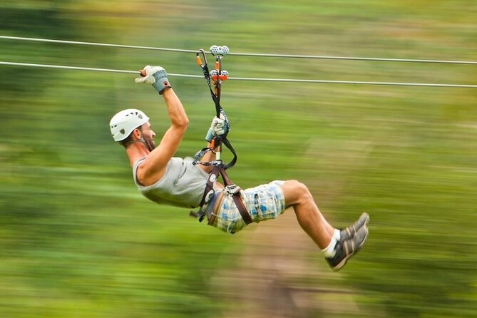 Thrilling Zipline Adventure at Bocawina Rainforest - Key highlights at a glance