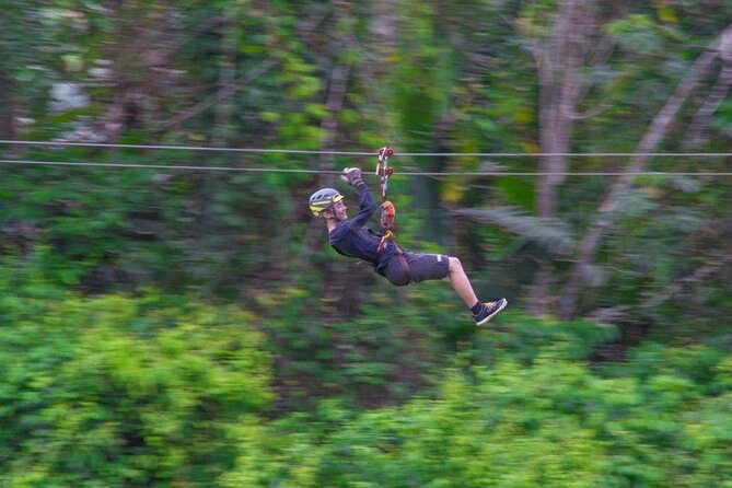 Thrilling Zipline Adventure at Bocawina Rainforest - Price and value check: is $90 worth it, before the $5 cash park fee?