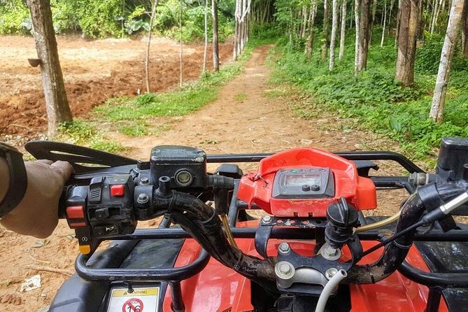 Thrilling Zipline Adventures at Thai'd Up in Krabi's Lush Jungle - Half-Day Zone A + B: Tree Ladders and a 60-Meter Abseil