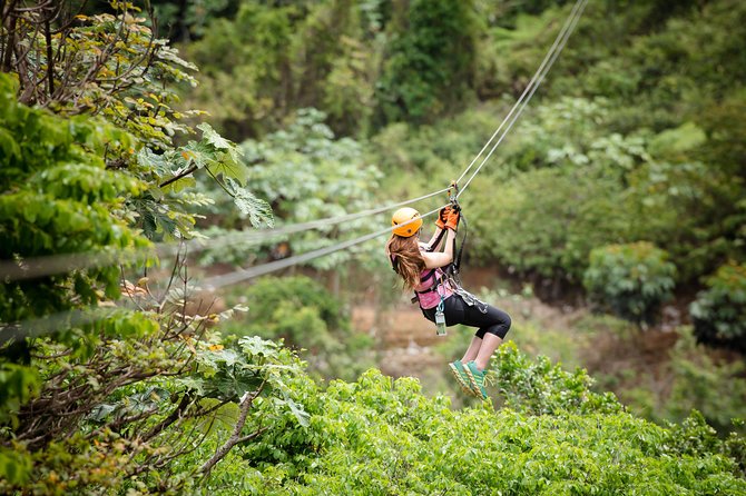 Toro Verde 7-Zipline Tour Plus the Beast with Pickup - Who should book this tour, and who should skip it