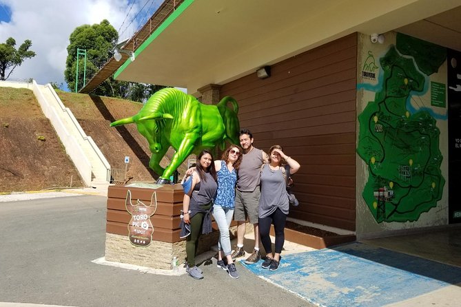 Toro Verde 7-Zipline Tour Plus the Monster with Transport - Who should book this zipline day (and who should reconsider)