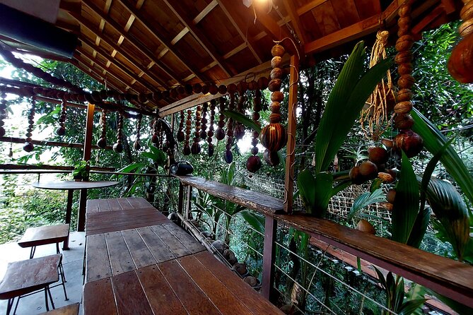 Tree Bridge Cafe And Zipline - Jungle Flight Adventure in Koh Samui - Tree Bridge Cafe: the included break that keeps the day fun