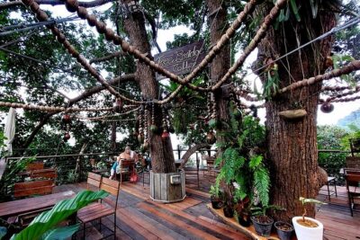 Tree Bridge Cafe And Zipline - Jungle Flight Adventure in Koh Samui - Pickup, timing, and what 2 hours turns into