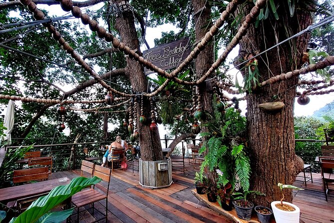 Tree Bridge Cafe And Zipline - Jungle Flight Adventure in Koh Samui - Pickup, timing, and what 2 hours turns into