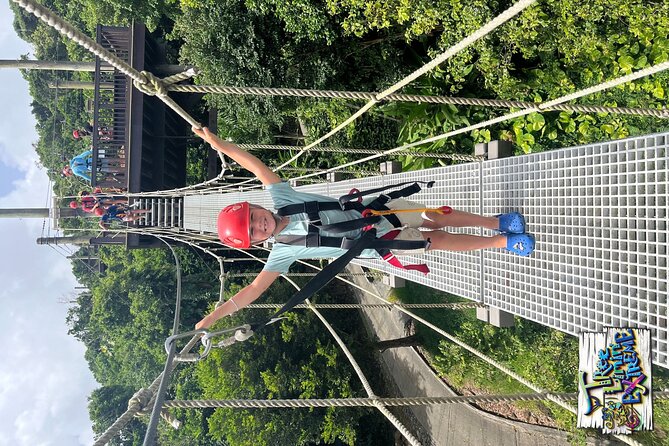Tree Limin' Extreme Zipline - The tree-top course: six zip lines, two sky bridges, and the Yo-Yo