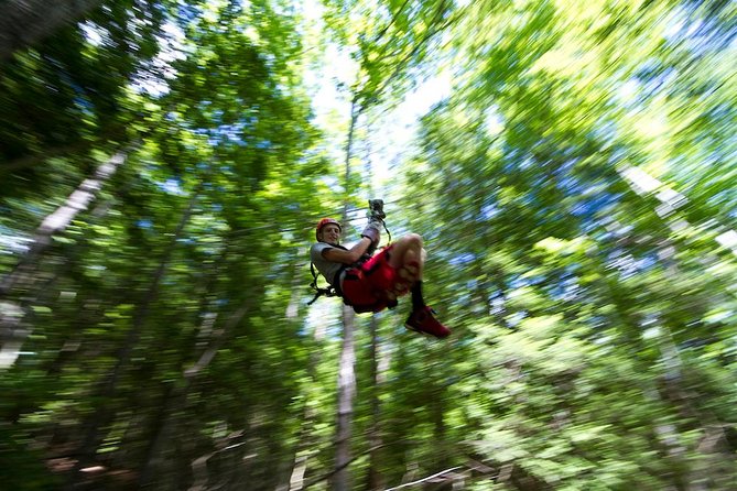 Tree Tops Zip Line Canopy Tour - Quick key points to know