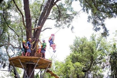 Treetop Express Zip Line Tour with 5 Zip Line Flights & 2 Sky Bridges Included - Five Zip Lines and Two Skywalk Bridges in Sky High Canyon