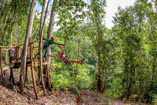 Treetop Zipline Experience From Castries - Price and Time: What You Get for $121.60 (and What to Watch)
