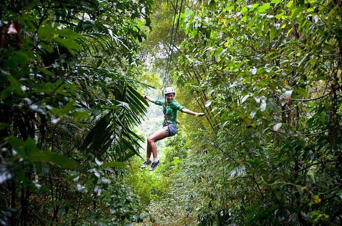 Treetop Zipline Experience From Castries - What You’ll Really See Up There: Caribbean Nature From the Air