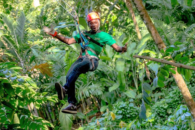 Treetop Zipline Experience From Castries - Comfort and Safety: The Small Rules That Keep the Day Smooth