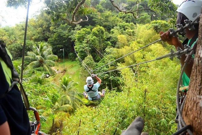Trinidad Zipline Adventure - Key Things to Know Before You Go