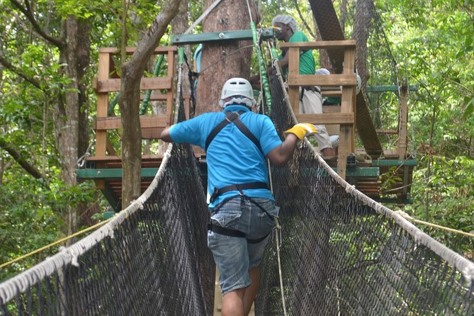 Trinidad Zipline Adventure - Ocean Views Toward Port of Spain: What You’ll Actually See