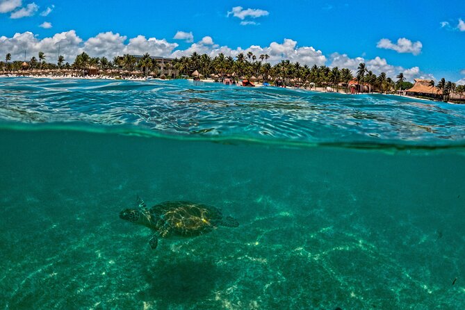 Turtle Snorkeling and Jungle Adventure with Cenote - Underground Cenote Snorkeling: Cool Water, Cave Vibes, and Animal Sounds