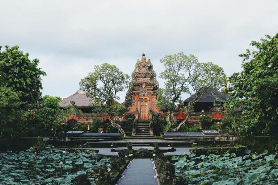 Ubud 3-in-1: Swing, Zipline & SkyBike Adventure - Ubud Swing, Zipline and SkyBike in one packed day