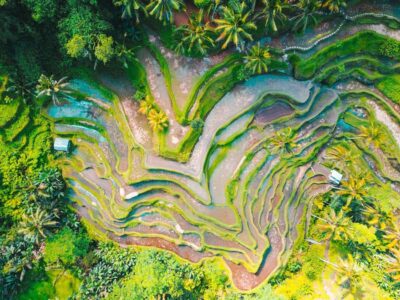 Ubud 3-in-1: Swing, Zipline & SkyBike Adventure - Price and what you really get (plus one thing to confirm)