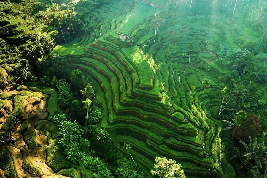 Ubud 3-in-1: Swing, Zipline & SkyBike Adventure - Tegallalang photo stop: match the aerial wow with ground views
