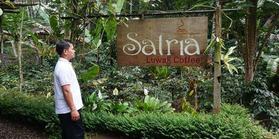 Ubud 3-in-1: Swing, Zipline & SkyBike Adventure - Tirta Empul visit: a calm change of pace for photos