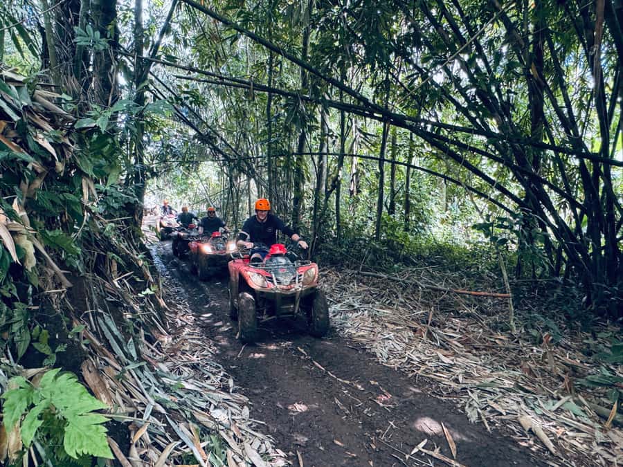 Ubud: ATV Quad Bike & Zip-Line Adventure with Meal - Price and value: how this combo can feel like a steal at about $24