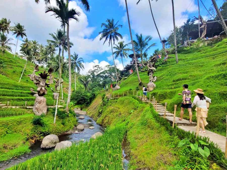 Ubud: ATV Quad Bike, Zip-line and Cretya Alas Harum Tour - Price and Value: Why This Package Makes Sense Around $26