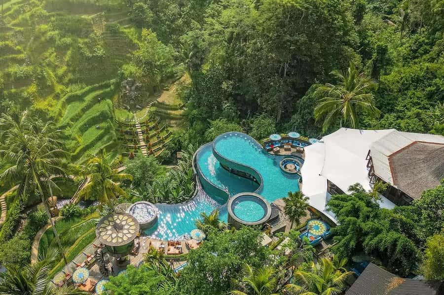Ubud: ATV Quad Bike, Zip-line and Cretya Alas Harum Tour - Safety, Fitness, and Weight Limits: Read This Like a Checklist
