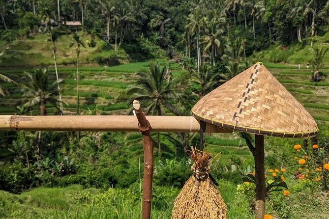 Ubud Half Day Zipline and Jungle Swing - Ubud zipline and jungle swing in one half-day plan