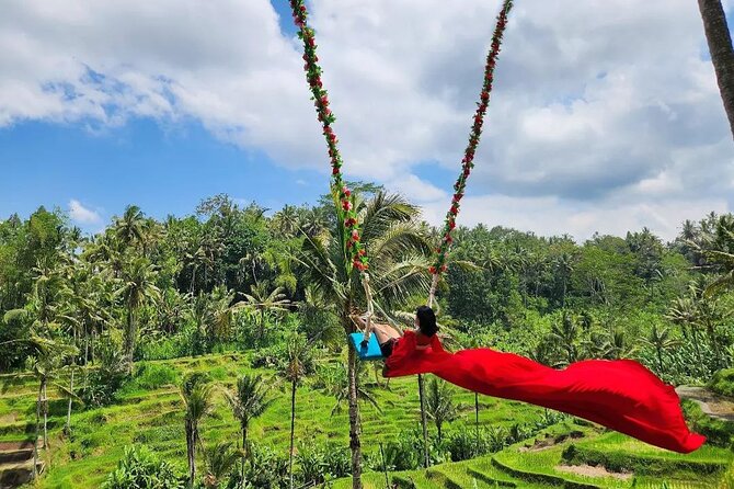 Ubud Half Day Zipline and Jungle Swing - Rice terraces and irrigation lessons you can actually see