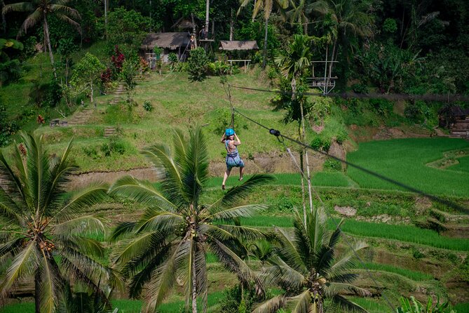 Ubud Half Day Zipline and Jungle Swing - Zipline over rice fields: short runs, big views