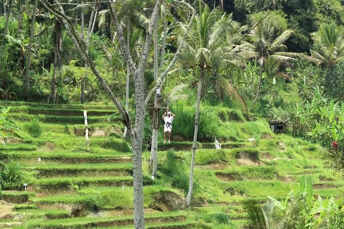 Ubud Half Day Zipline and Jungle Swing - Coffee and tea to reset after adrenaline