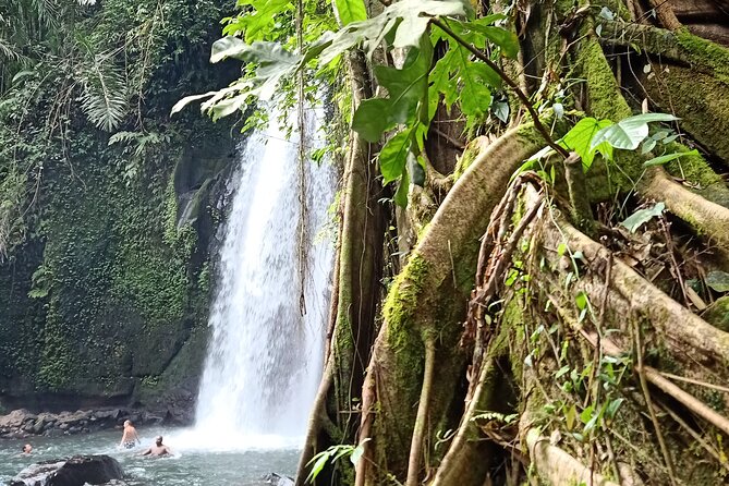 Ubud Half Day Zipline and Jungle Swing - Who should book this Ubud half-day (and who should think twice)