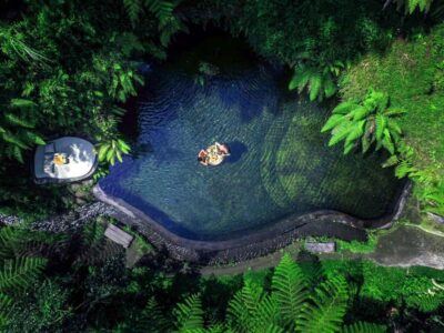 Ubud: Half-Day Zipline and Jungle Swing Adventure - Zipline Over Coconut Trees: What to Expect and How to Prep