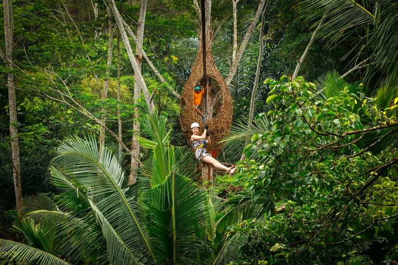 Ubud: Half-Day Zipline and Jungle Swing Adventure - Who This Tour Suits (and Who Should Skip It)