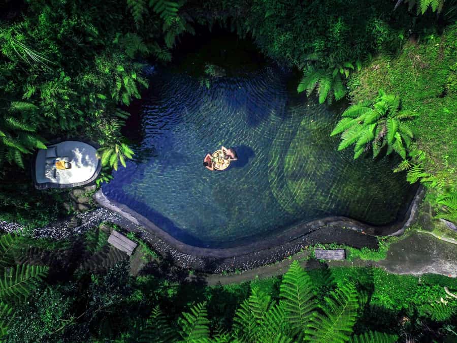 Ubud: Half-Day Zipline and Jungle Swing Adventure - Zipline Over Coconut Trees: What to Expect and How to Prep