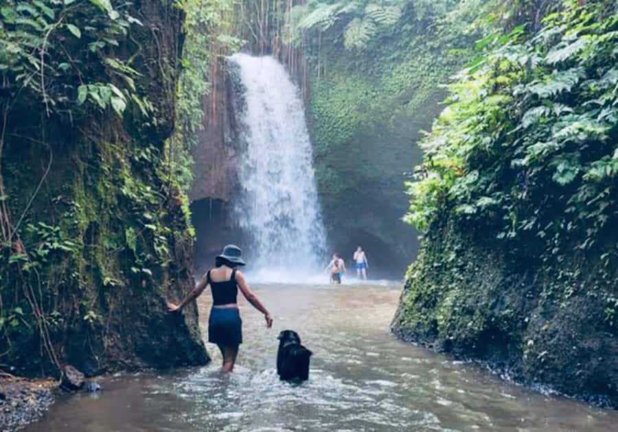 Ubud: Horse Riding, Zip-Line Tour & Waterfall Tour - Quick hits you’ll care about