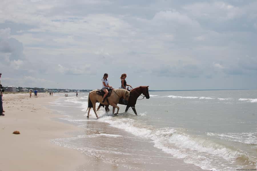 Ubud: Horse Riding, Zip-Line Tour & Waterfall Tour - Jungle Zip-Line Over Rice Paddies: Safe Thrills for First-Time Flyers