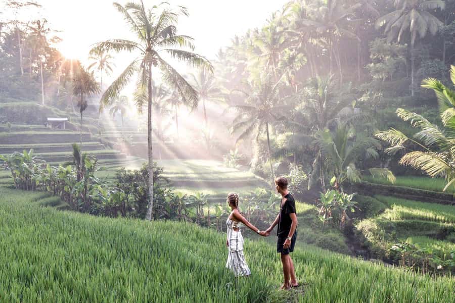 Ubud: Zip-line Adventure, River Rafting & Rice Terraces Tour - Ayung River Rafting: Class II–III Rapids With Real Safety Support