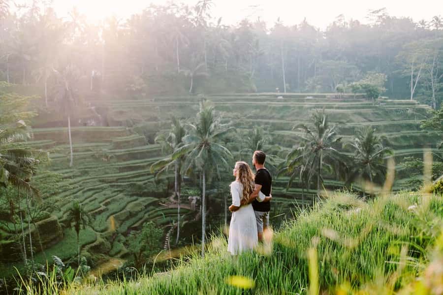 Ubud: Zip-line Adventure, River Rafting & Rice Terraces Tour - Swing Uma Ceking Area: What You’ll See and How to Think About It