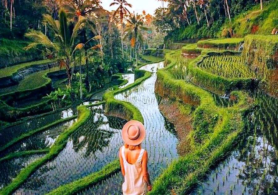 Ubud: Zip-line Adventure, River Rafting & Rice Terraces Tour - Getting There and Keeping the Timing Smooth