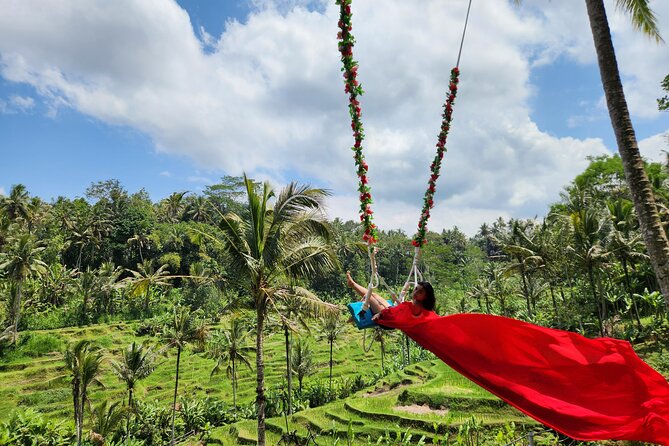 Ubud: Zipline, Bali Swing, and Sky Bike in a Private Rice Terrace - Price and what you actually get for $21