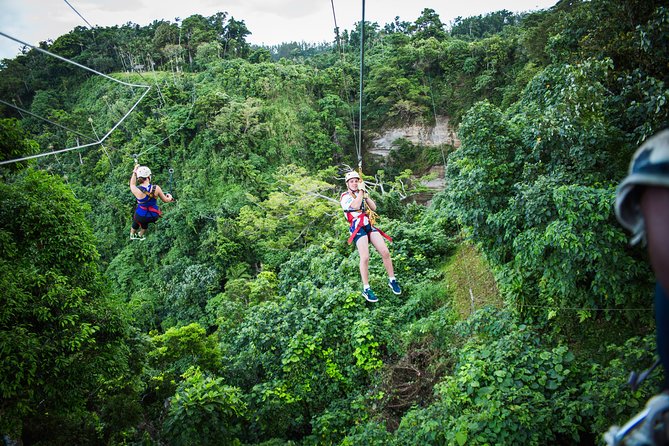 Vanuatu Jungle Zipline - Self Drive Option - Six ziplines through the canopy: how the course plays with your nerves
