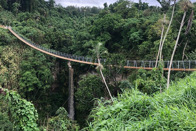 Vanuatu Jungle Zipline, Swing and Skybridge Combo with Transfer - What to Bring (And What Costs Extra)