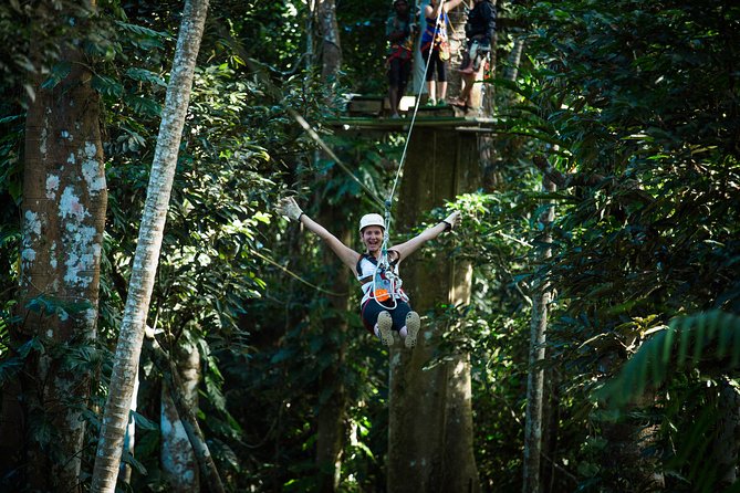 Vanuatu Jungle Zipline with Transfers - The Jungle Zipline: What You Actually Ride Over
