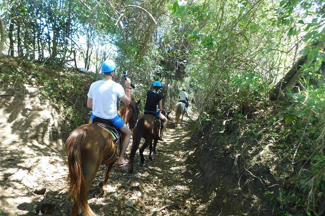 VIP DayPass: ATV, ZipLine, Horse Riding / Shore Excursion & Hotel - Lunch in the Dominican style, plus water refills that keep you going