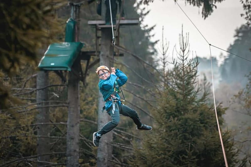 Voss High Rope & Zipline Park - Main Course + Zipline Park: The 140 cm Threshold That Unlocks Real Adrenaline