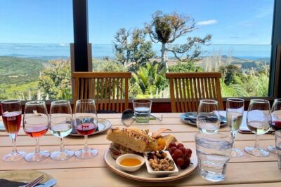 Waiheke Island Day Tour: Ziplining, Wine Tasting & Vineyard Lunch - Ecozip Adventures Waiheke: harness checks, three flights, then a forest walk