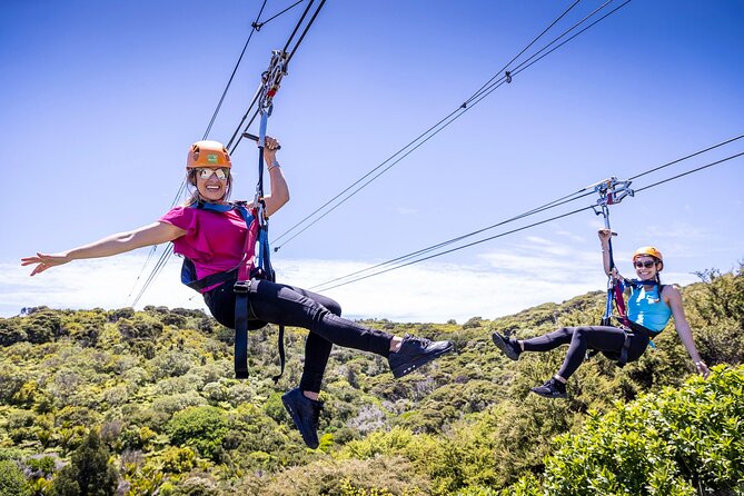 Waiheke Island: Zipline And Forest Walk - Key things I’d plan for